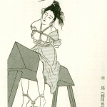 wooden horse