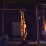 Kinbaku Today Kinbaku in Context: Reading Nureki's Kinbiken