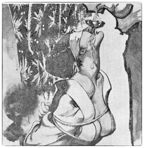 Kinbaku Today The Art of Fantasy: Yamada Akihiro (山田彬弘)