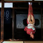 Kinbaku Today Sugiura Norio Videos Available