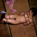 Kinbaku Today Sugiura Norio Videos Available