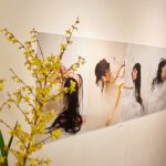 Kinbaku Today Sugiura Norio: Celebrating 45 Years in Bondage Photography