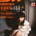 SMcollector7